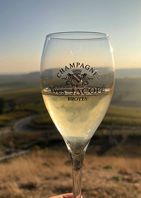 Champagne Yves Jacopé