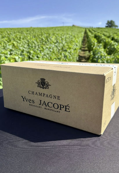 Champagne Yves Jacopé